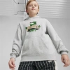 Puma For The Fanbase Big Kids' Hoodie In Light Gray Heather