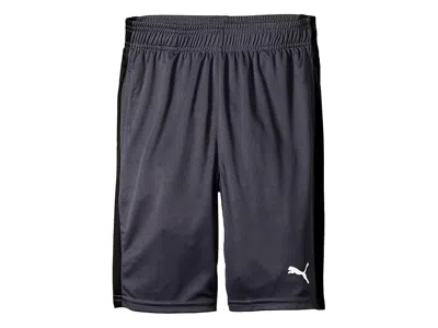 Puma Form Stripe Shorts (big Kids) Boy's Shorts Coal : Md (10-12 Big Kid), Polyester In Gray