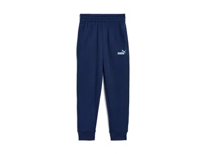 Puma Foundations Essential French Terry Joggers (big Kid) Boy's Workout Navy : Xl (18-20 Big Kid) 17, Cot In Blue