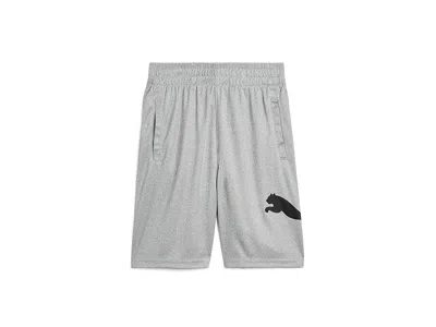Puma Foundations Interlock Essential Shorts (big Kid) Boy's Shorts Grey: Xl (18-20 Big Kid) One Size In Gray