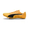 Puma Future 6 Spikes Unisex Shoes In Multi