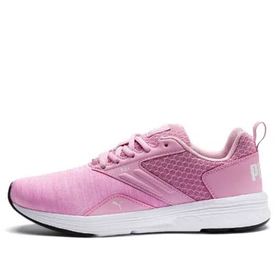 Puma (gs)  Nrgy Comet Low Running Shoes Pink