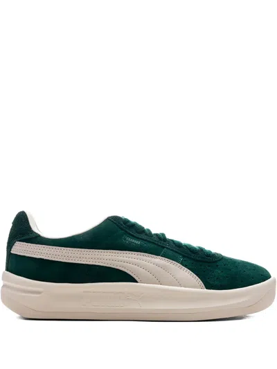 Puma Gv Special Suede Sneakers In Green