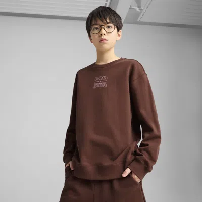 Puma X Tmnt Big Kids' Relaxed Graphic Crew Sweatshirt In Brown