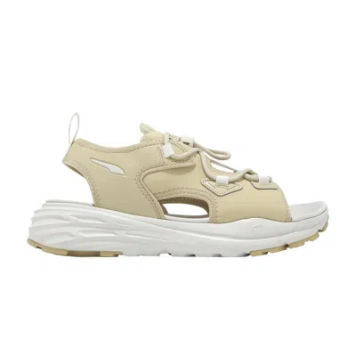 Pre-owned Puma Hypnotic Sandal 'putty Warm White' | Cream | Men's Size 4 In Beige