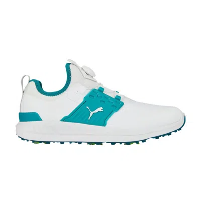 Pre-owned Puma Ignite Articulate Disc 'white Green Lagoon' | Men's Size 11