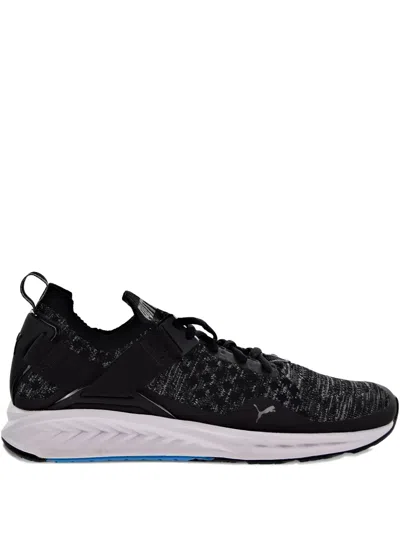 Puma Ignite Evoknit Lo Sneakers In Black