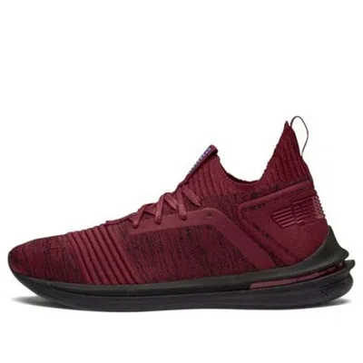 Puma Ignite Limitless Sr Evoknit Low Top Running Shoes Red