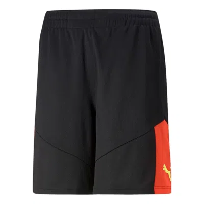 Puma Individual Final Shorts 'black'