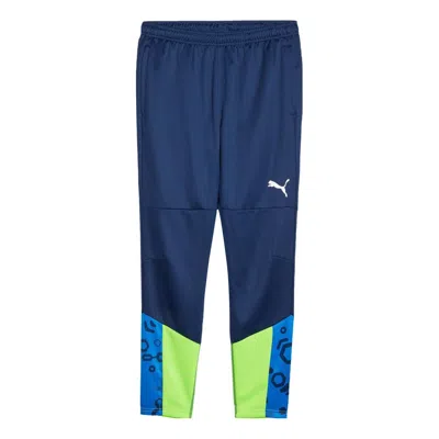 Puma Individualcup Football Training Pants 'blue Green'