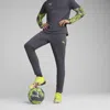Puma Individualcup Men's Soccer Pants In Gray