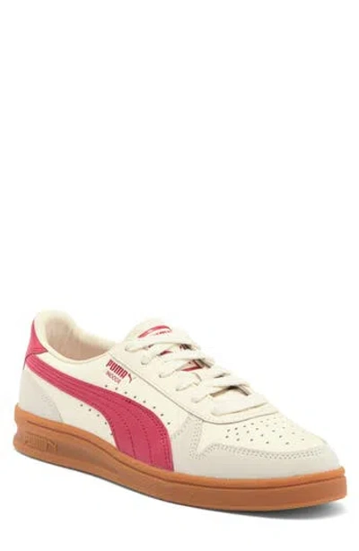 Puma Indoor Og Sneaker In Frosted Ivory-club Red