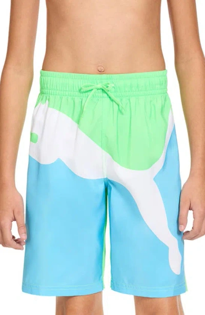 Puma Kids' Cat Power Swim Trunks In Blue