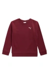 Puma Kids' Class Pack Fleece Sweatshirt In Burgundy