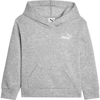 Puma Kids' Essential Basic Hoodie In Gray