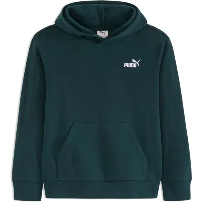 Puma Kids' Essential Basics Fleece Pullover Hoodie In Green