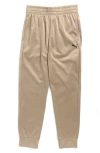 Puma Kids' Foundations Essentials Tricot Joggers In Brown