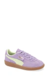 Puma Kids' Palermo Sneaker In Lavender Alert-cool Cucumber