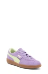 Puma Kids' Palermo Sneaker In Lavender Alert-cool Cucumber