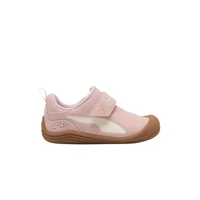 Pre-owned Puma Kitten Premium Toddler 'mauve Mist' | Pink | Infant Size 7