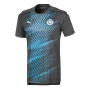 Puma League 19-20 T-shirt 'blue' In Multi