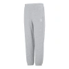Puma Logo Classics Pants 'grey' In Gray