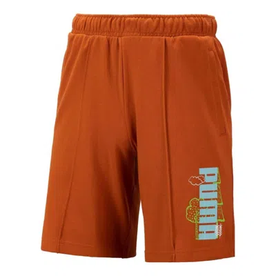 Puma Logo Nature Shorts 'brown'