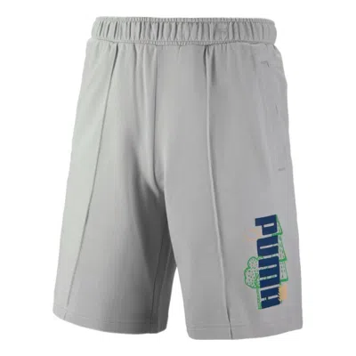 Puma Logo Nature Shorts 'grey' In Gray