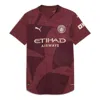 Puma Men's Manchester City 24/25 Authentic Third Soccer Jersey