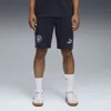 Puma Manchester City King Sweat Shorts Men