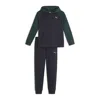 Puma Matching Sets Toddlers' Fleece Sweatshirt And Joggers In Blue