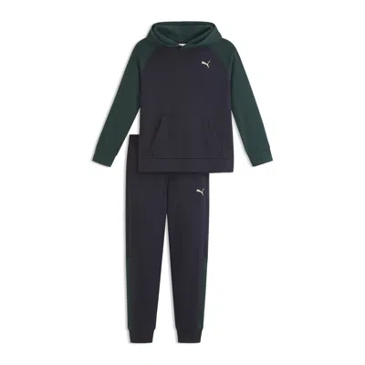 Puma Babies' Matching Sets Toddlers' Fleece Sweatshirt And Joggers In Blue