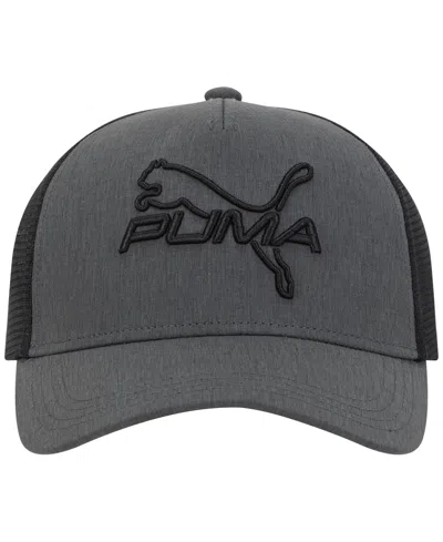 Puma Men's 3d Embroidered Logo Cap In Gray