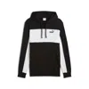 Puma Essentials Block Hoodie Men In Black