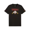 Puma F1 Dts Graphic Race T-shirt