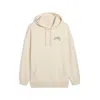 Puma Graphics  Hotel Men's Hoodie In Multi