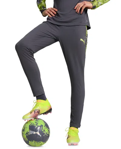 Puma Men's Individualcup Training Pants In Gray