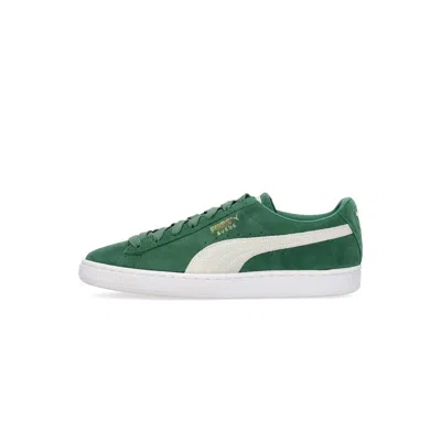 Puma Men's Low Shoe Suede Classic Xxi Vine/white