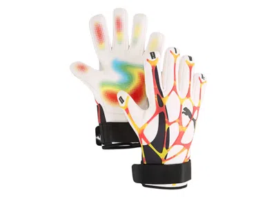 Pre-owned Puma Men's  X A$ap Rocky Xl Driving Gloves In Alpine Snow