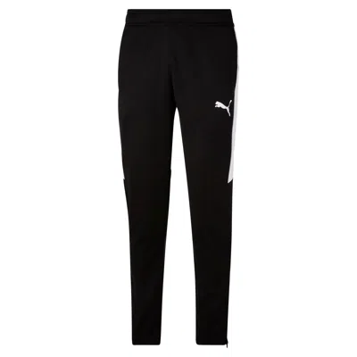 Puma Men's Speed Pants In Multi