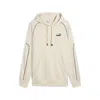Puma Men's Sport Hoodie Men In Multi