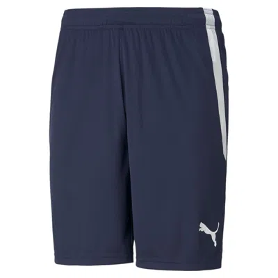 Puma Men's Teamliga Soccer Shorts