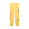Puma Men's Wardrobe Essentials Bright Lights Nyc Flagship Sweatpants In Multi