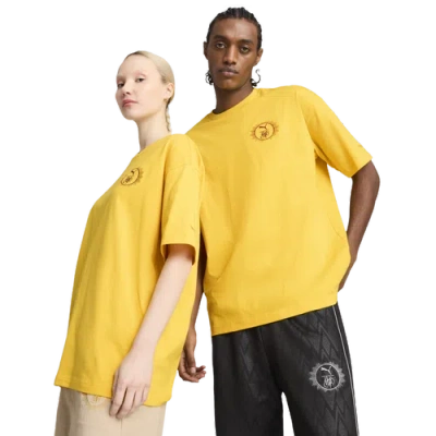 Puma Mens  X Harry Potter Oversized Graphic T-shirt In Maroon/yellow