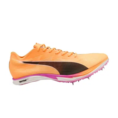 Pre-owned Puma Mid Distance Nitro Elite 3 'sun Stream' | Orange | Men's Size 7.5