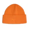 Puma Mini Cat Watchman Beanie Hat In Multi