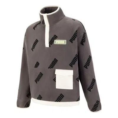 Puma Moduler Half-zip Sweater 'grey' In Gray