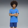 Puma Neymar Jr Playmaker Football T-shirt Youth In Blue
