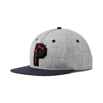 Puma Nyc Bruckner Cap In Gray