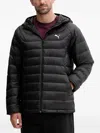 Puma Packlite Hooded-logo Jacket In Black